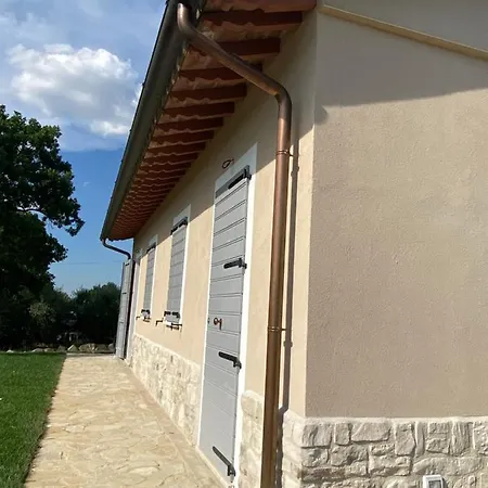 Pane E Olio * Тоди