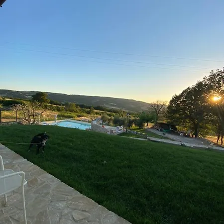 Gospodarstwo agroturystyczne Pane E Olio