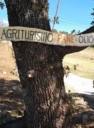 Pane E Olio Farm stay