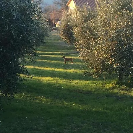 Farm stay Pane E Olio *