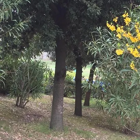 Pane E Olio Alloggio per agriturismo Todi