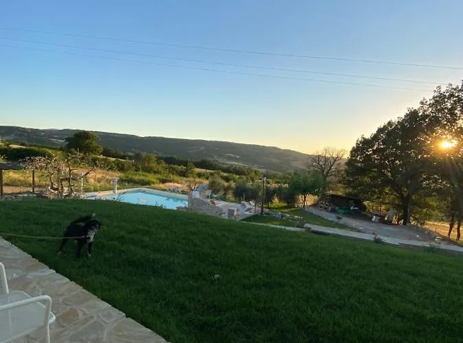 Gospodarstwo agroturystyczne Pane E Olio