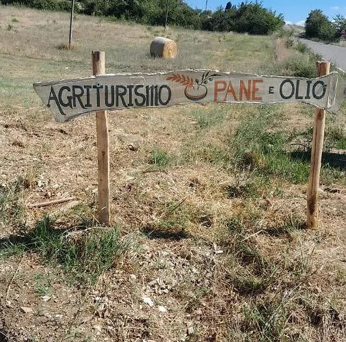 Pane E Olio Gospodarstwo agroturystyczne Todi
