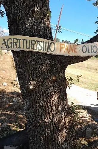 Pane E Olio Bauernhof