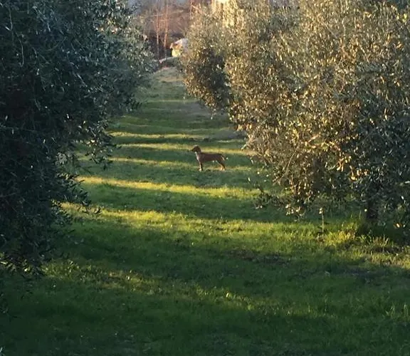 Bauernhof Pane E Olio *