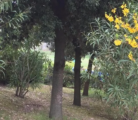 Pane E Olio Bauernhof Todi